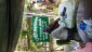 Medical Camp | Tripligheri Bazar
